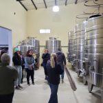 Bodega Furfaro 1