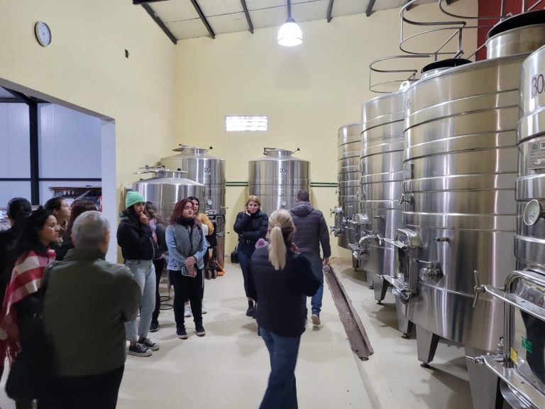 Bodega Furfaro 1