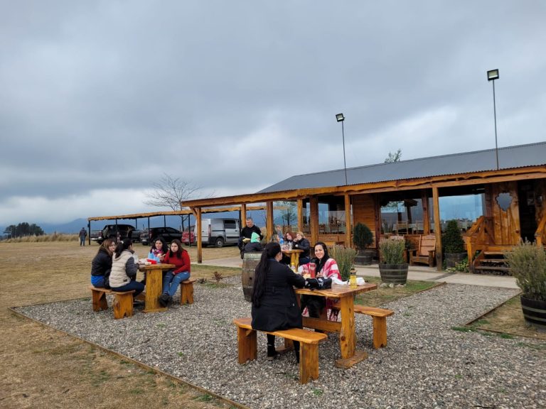 Bodega Furfaro 2