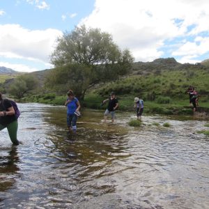 Arroyo La Puente 6