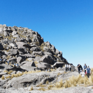 Captura de pantalla 2025-06-04 100036