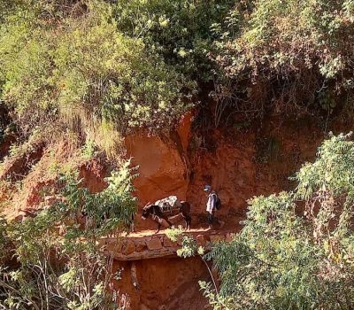 Circuitos_de_Yungas_San_Francisco_Jujuy3