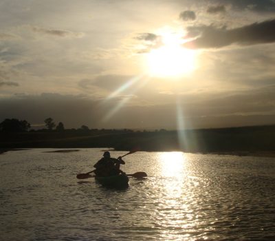 IMG-20250328-WA0031