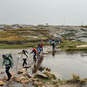 IMG-20250420-WA0018