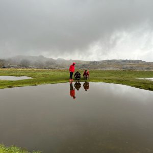 IMG-20250421-WA0017