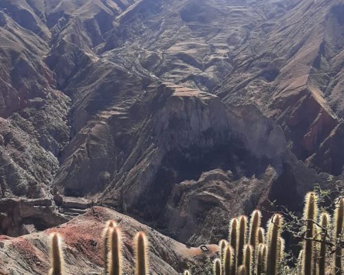 IMG-20250422-WA0088 IMG-20250422-WA0088