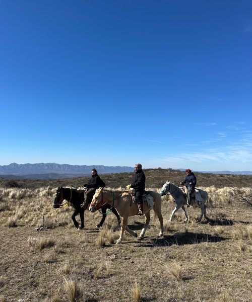 IMG-20250903-WA0005 IMG-20250903-WA0005