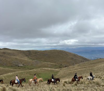 IMG-20250903-WA0010