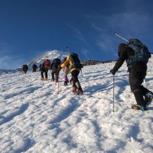 LANIN8