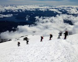 LANIN9 LANIN9
