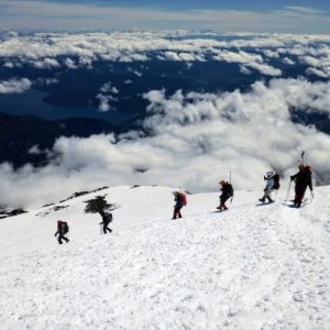 LANIN9