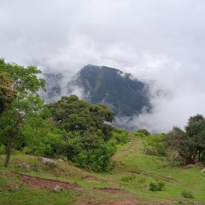 Tilcara - Calilegua12