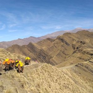 Tilcara - Calilegua16