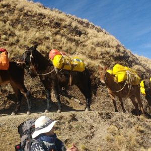 Tilcara - Calilegua7