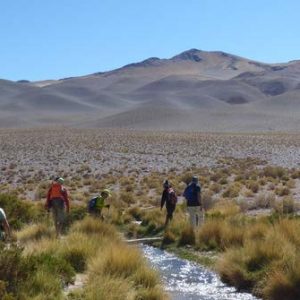 Volcán San Francisco1