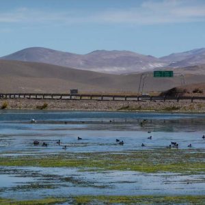 Volcán San Francisco5