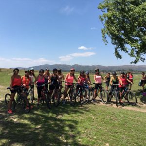 WhatsApp Image 2023-01-09 at 18.22.51