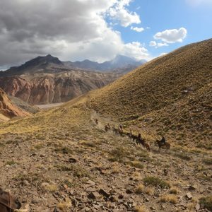 WhatsApp Image 2023-01-17 at 16.49.47 (1)