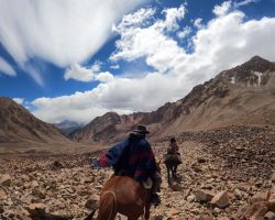 WhatsApp Image 2023-01-17 at 16.49.47