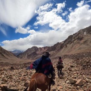 WhatsApp Image 2023-01-17 at 16.49.47