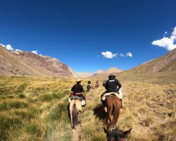 WhatsApp Image 2023-01-17 at 16.49.49 (1)