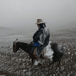 WhatsApp Image 2023-01-17 at 16.49.50 (2)