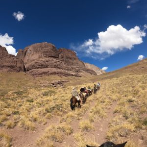 WhatsApp Image 2023-01-17 at 16.49.50