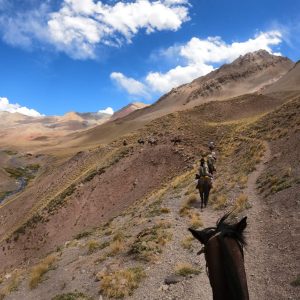 WhatsApp Image 2023-01-17 at 16.49.53