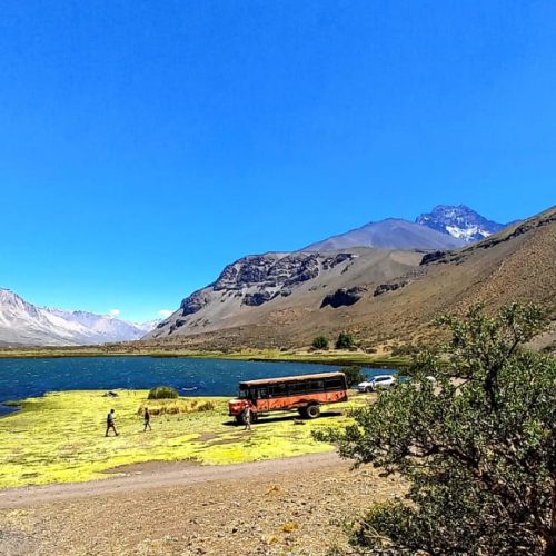 WhatsApp Image 2023-01-17 at 17.05.24 (8)