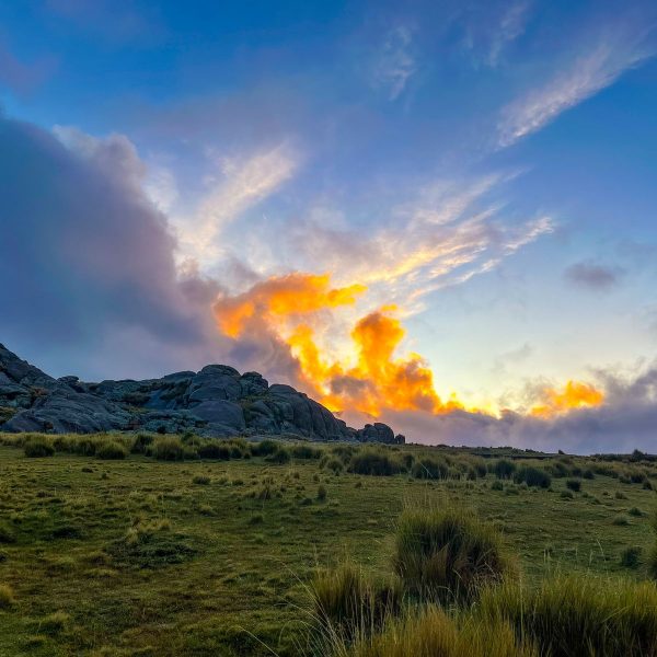 WhatsApp Image 2023-04-09 at 19.23.26