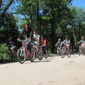 WhatsApp Image 2023-06-27 at 11.47.49