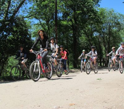 WhatsApp Image 2023-06-27 at 11.47.49