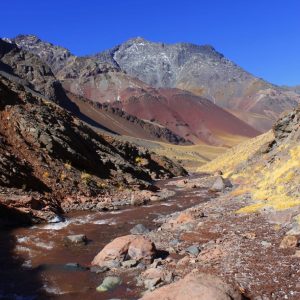 WhatsApp Image 2023-11-01 at 10.49.05