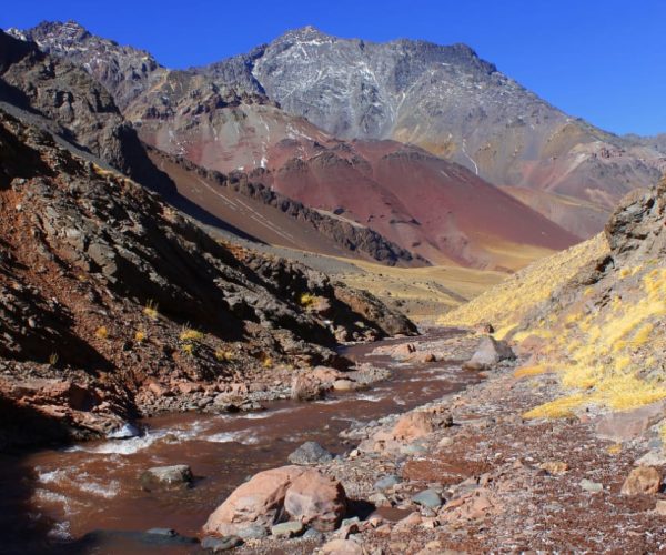 WhatsApp Image 2023-11-01 at 10.49.05