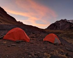 WhatsApp Image 2023-11-01 at 10.49.20