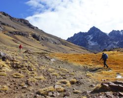 WhatsApp Image 2023-11-01 at 10.49.51 (1)