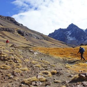 WhatsApp Image 2023-11-01 at 10.49.51 (1)