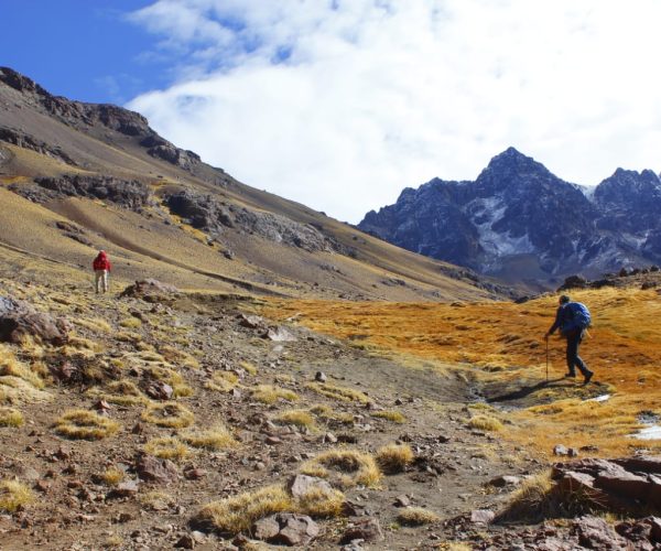 WhatsApp Image 2023-11-01 at 10.49.51 (1)