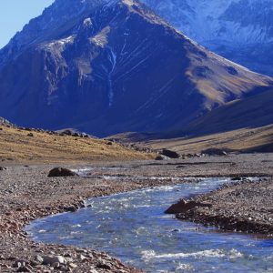 WhatsApp Image 2023-11-01 at 10.49.52