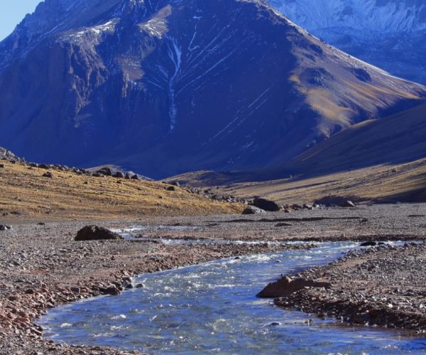 WhatsApp Image 2023-11-01 at 10.49.52