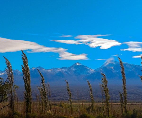 WhatsApp Image 2024-07-02 at 09.34.21 (3)