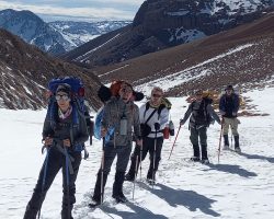 WhatsApp Image 2025-03-11 at 21.13.59