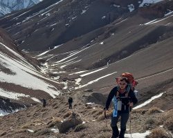 WhatsApp Image 2025-03-11 at 21.14.00